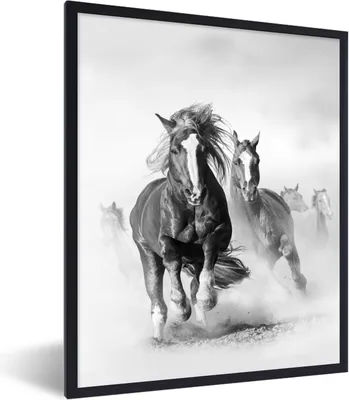 Produktbild von MuchoWow® Gerahmtes Poster Pferde - Tiere - Illustration 60x80 cm - Poster mit Schwarzem Bilderrahmen Wandposter Rahmen Foto Bilder - Premium - Wanddeko Wohnzimmer