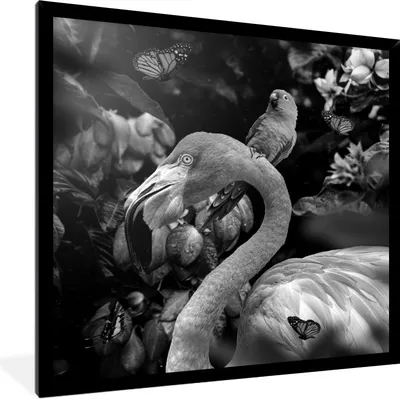 Produktbild von MuchoWow® Gerahmtes Poster Flamingo - Dschungel - Papagei - Schwarz - Weiß 40x40 cm - Poster mit Schwarzem Bilderrahmen Wandposter Rahmen Foto Bilder - Mit Rahmen - Wanddekoration Schlafzimmer