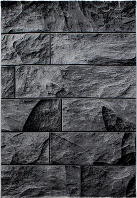 Produktbild von Parma Oltu teppich kurzflor rechteckig 140x200cm schwarz