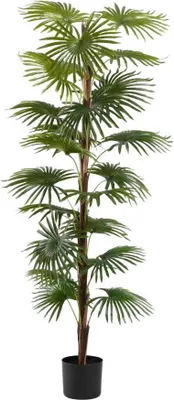 Zdjęcie produktu dla HOMLA Roślina sztuczna TROPICAL ZONE palma 150 cm
