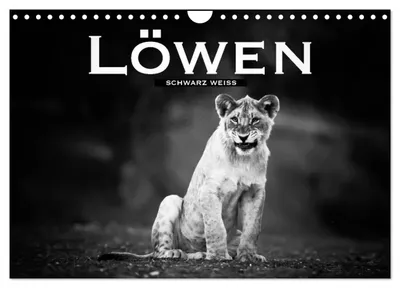 Produktbild von Löwen schwarz weiß (Wandkalender 2027 DIN A4 quer), CALVENDO Monatskalender