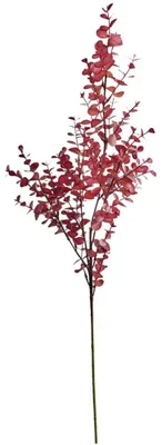 Imagen del producto de Rama de eucalipto artificial, planta decorativa, elemento decorativo natural, 1 unidad, longitud 79 cm, color burdeos