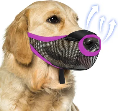 Image de INF Muselière Respirante en Maille pour Chien - Anti-morsure Violette M