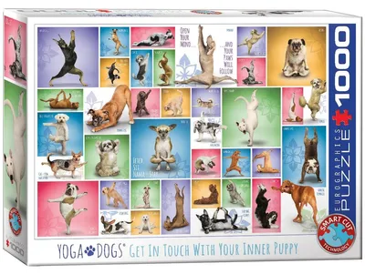 Immagine prodotto di Eurographics Puzzle Yoga Hunde, 1000 Teile, 68 x 48 cm, 6000-0954