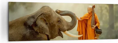 Produktbild von Bild auf Leinwand - Leinwandbild - Elefant Mönch Stoßzahn - 160x50cm - Wand Bild - Wanddeko - Leinwanddruck - Bilder - Kunstdruck - Wanddekoration - Leinwand bilder - Wandkunst - AB160x50-3484