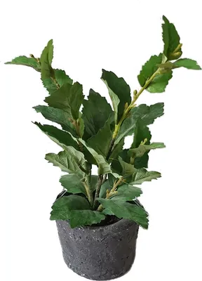 Produktbild von Grünpflanze im Topf Kunstpflanze Flora