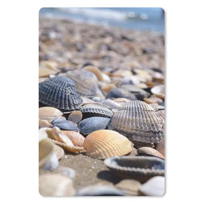 Produktbild von MuchoWow® Mauspad Mousepad Muscheln - Strand 18x27 cm - Mousepads - Maus Mat - Pad - Mausunterlage