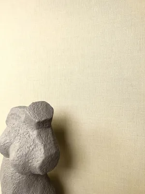 Produktbild von NEWROOM Tapete Beige Vliestapete Unifarbe - Unitapete Uni   Stoff-Optik Textil Leinen-Optik Modern Struktur