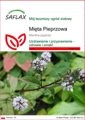 Zdjęcie produktu dla SAFLAX - Mięta Pieprzowa - 300 Nasiona - Mentha piperita