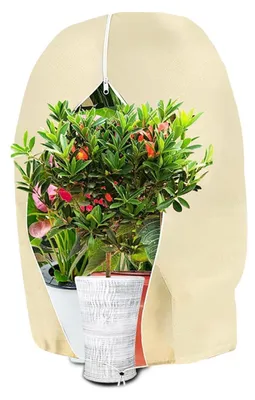 Produktbild von Winterschutz für Pflanzen 80x100cm Beige Vlies mit Zugband