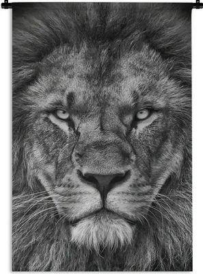 Produktbild von MuchoWow® Wandteppich Wandbehang Tiere - Löwe - Schwarz - Weiß - Porträt 90x135 cm Tapisserie Dekoration Wandtuch - Baumwolle - Wandskulptur