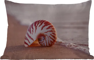 Produktbild von MuchoWow® Outdoor Kissen - Muschel - Strand - Meer - Sand - 60x40 cm - Wetterfest - Lounge Kissen - Zierkissen - Kissen für Innenräume