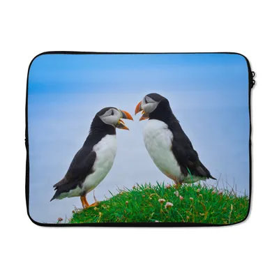 Produktbild von MuchoWow® Laptop Hülle 17 Zoll Laptoptasche Tiere - Vögel - Papageientaucher - Zipper - Schutzabdeckung
