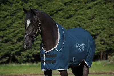 Produktbild von Horseware Rambo Dry Rug Supreme Navy/Silver inkl Halsteil einrollbar, Horseware Deckengröße:S (115-125 cm)