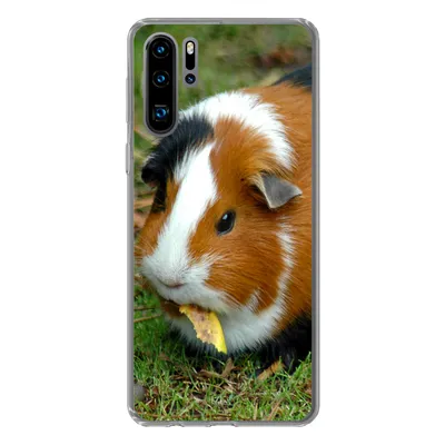 Produktbild von MuchoWow® Handyhülle Schutzhülle Hülle für Huawei P30 Pro Meerschweinchen draußen Silikon Softcase Handy Hülle - Schutzdeckel