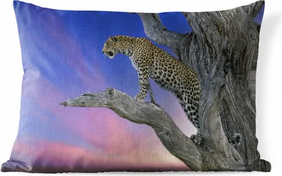 Produktbild von MuchoWow® Outdoor Kissen - Leopard - Baum - Zweig - 50x30 cm - Wetterfest - Lounge Kissen - Sofa kissen - Wohnzimmer Dekoration
