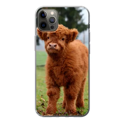 Produktbild von MuchoWow® Handyhülle Schutzhülle Hülle für iPhone 12 Pro Max Scottish Highlander - Kalb - Gras Silikon Softcase Handy Hülle - Hartschale
