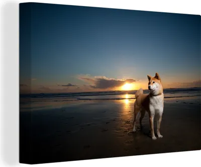 Obrázok produktu pre OneMillionCanvasses® - Obrazy na plátne - 140x90 cm, Shiba Dog at Sunset, Wall Art Print Nástenná dekorácia