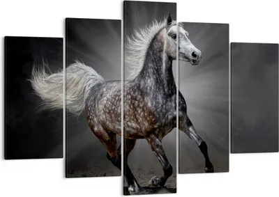 Produktbild von Bild auf Leinwand - Leinwandbild - Pferd Tier Natur - 150x100cm - Wand Bild - Wanddeko - Leinwanddruck - Bilder - Kunstdruck - Wanddekoration - Leinwand bilder - Wandkunst - EA150x100-3593