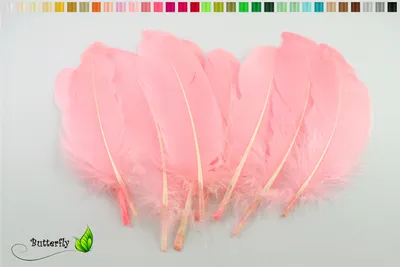 Produktbild von 10 Gänsefedern 15-20cm, Farbauswahl:rosa 148