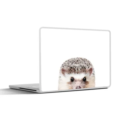 Produktbild von MuchoWow® Laptop Aufkleber Sticker Cover Igel - Tiere - Natur - Weiß 40x30 cm - Laptop Dekoration - Selbstklebend