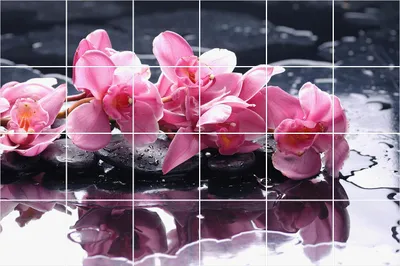 Produktbild von Fliesenaufkleber 20x20 cm – 24 Stück – Selbstklebend – Wasserfest – Pflegeleicht – Hitzebeständig – Für Küche & Bad – Blumen auf Steinen im Wasser