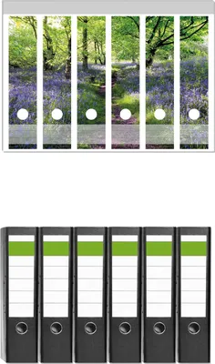 Produktbild von Wallario 6 Stück breite Ordner inkl. Klebeetiketten mit Motive Blaues Hasenglöckchen im Wald -  Set mit Rückenschildern / Ordnerrücken Stickern
