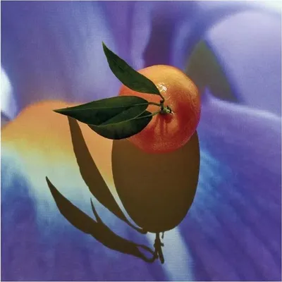 Immagine prodotto di LOEWE | SOLO LOEWE | Eau de Parfum