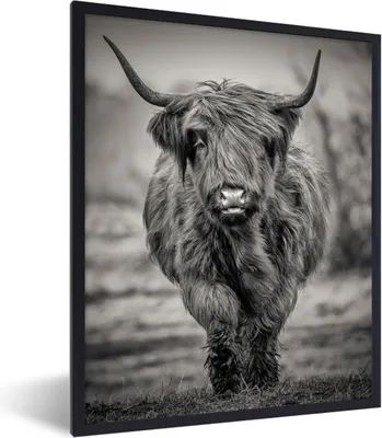 Produktbild von MuchoWow® Gerahmtes Poster Schottischer Highlander - Schwarz und Weiß 60x80 cm - Poster mit Schwarzem Bilderrahmen Wandposter Rahmen Foto Bilder - Premium - Wanddeko Wohnzimmer
