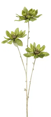 Immagine prodotto di Countryfield fiore artificiale magnolia decorazione verde oro 81cm fiore