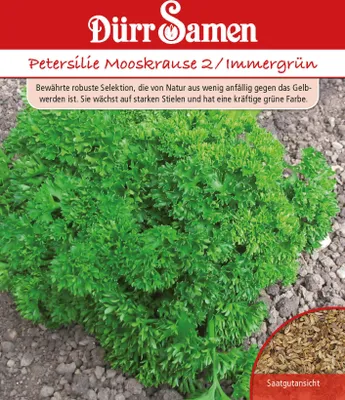 Produktbild von Petersilie Mooskrause 2 & Immergrün | Petersiliensamen von Dürr Samen [MHD 12/2024]