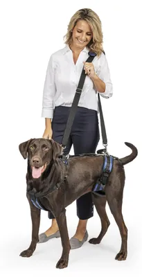 Productafbeelding van Solvit Petsafe Carelift, voor- en achterkant