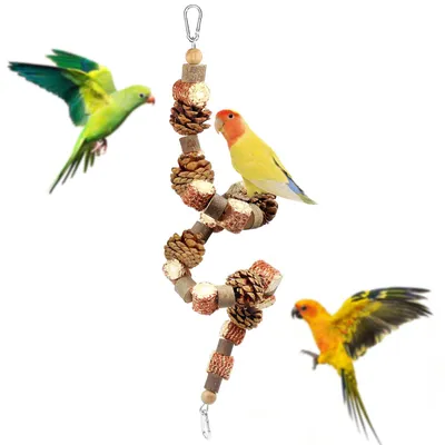 Productafbeelding van Papegaai kauwspeelgoed set voor vogels, natuurlijke zitstokken en accessoires