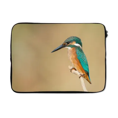 Produktbild von MuchoWow® Laptop Hülle 14 ZollEisvogel - Tiere - Vogel Laptoptasche - Laptoptasche - Stoßsicher - Schutzhaube