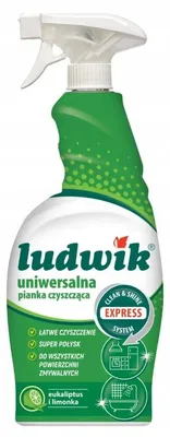Produktbild von LUDWIK Universal-Reinigungsschaum Eukalyptus & Limette 750 ml