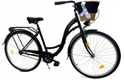 Zdjęcie produktu dla Rower Dallas City 28" 1spd - czarny + wiklina + pokrowiec