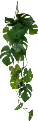 Image de Plante artificielle MONSTERA, suspendue, 85 cm