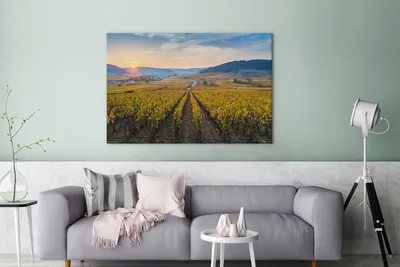 Produktbild von OneMillionCanvasses® - Leinwandbilder - 140x90 cm, Frankreich - Weinberg - Sonne, Wandbilder Kunstdruck Wanddekoration