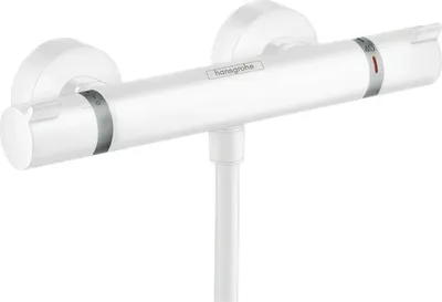 Obrázok produktu pre HANSGROHE 13116700 Termostat Ecostat Comfort