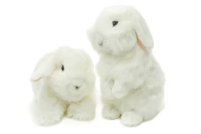 Produktbild von Uni-Toys - Löwenkopf-Kaninchen mit hängenden Ohren - stehend - weiß - 23 cm (Höhe) - Plüsch-Hase - Plüschtier, Kuscheltier