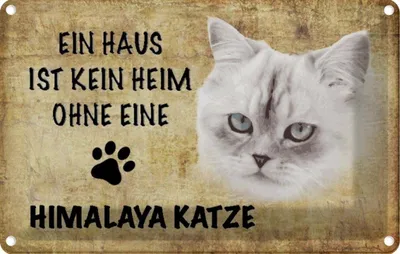 Produktbild von vianmo Blechschild 12x18 cm Himalaya Katze ohne kein Heim Tier Haustier