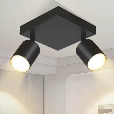 A black ceiling light fixture with two adjustable spotlights is mounted on a white ceiling.