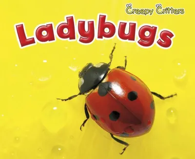 Produktbild von Ladybugs