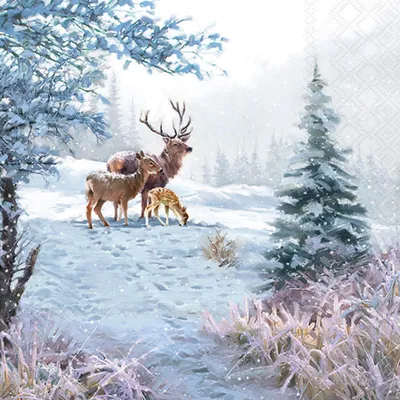 Produktbild von 20 Servietten Deer Family - Hirschfamilie im Winterwald 33x33cm