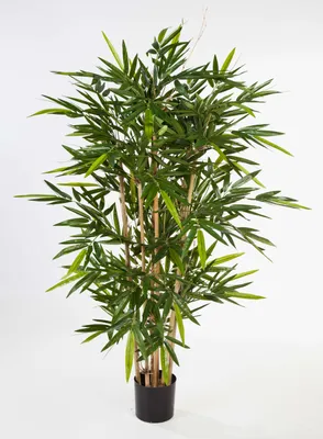 Produktbild von artplants.de Künstlicher Bambus Tarik, 1216 Blätter, 180cm - naturgetreuer Kunstbaum - Deko Bambus