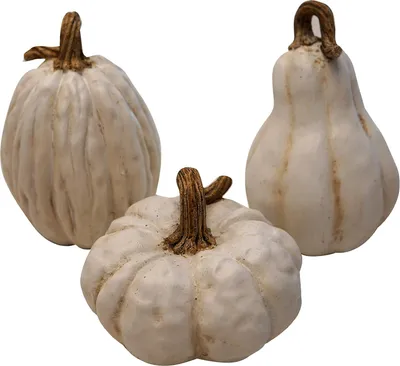 Produktbild von Herbstdekoration - Set von dekorativen Kürbissen in Weiß