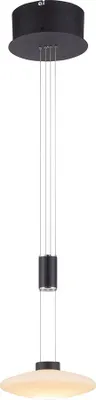 Produktbild von LED Hängeleuchte, Glas, höhenverstellbar, dimmbar, H 200 cm