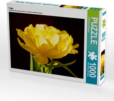 Produktbild von Calvendo Tulpe 1000 Teile Puzzle quer 640x480mm, Calmbacher Christiane; 7330682