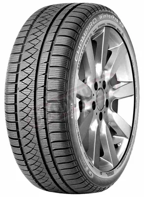Produktbild von GT Radial Winterreifen motorcycle-tyres CHAMPIRO WINTERPRO HP ( 245/45 R17 99V XL )