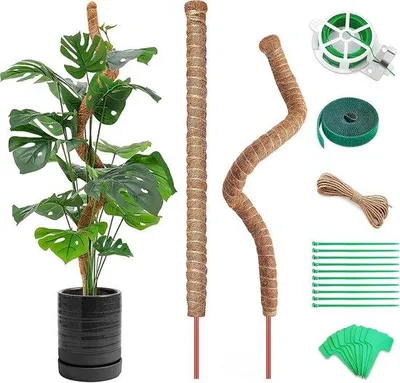 Produktbild von Famanu Pflanzenstütze 2 Stück - 120 cm Kokos-Plantenstützen - Flexible Unterstützung für Kletterpflanzen